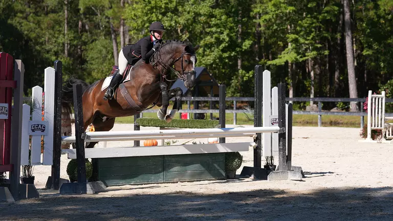 Equestrian jumping over fences.