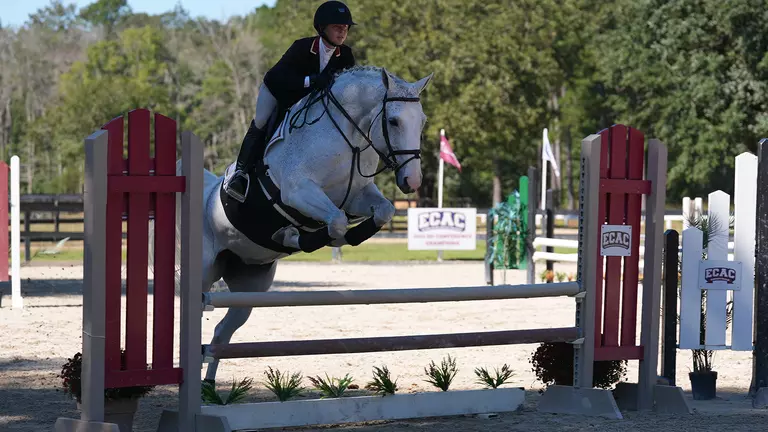 Equestrian student-athlete riding a horse at White Horses in Charleston, SC.