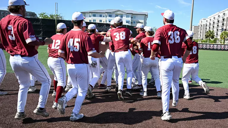 Charleston celebrating a walk off win April 4 vs High Point.