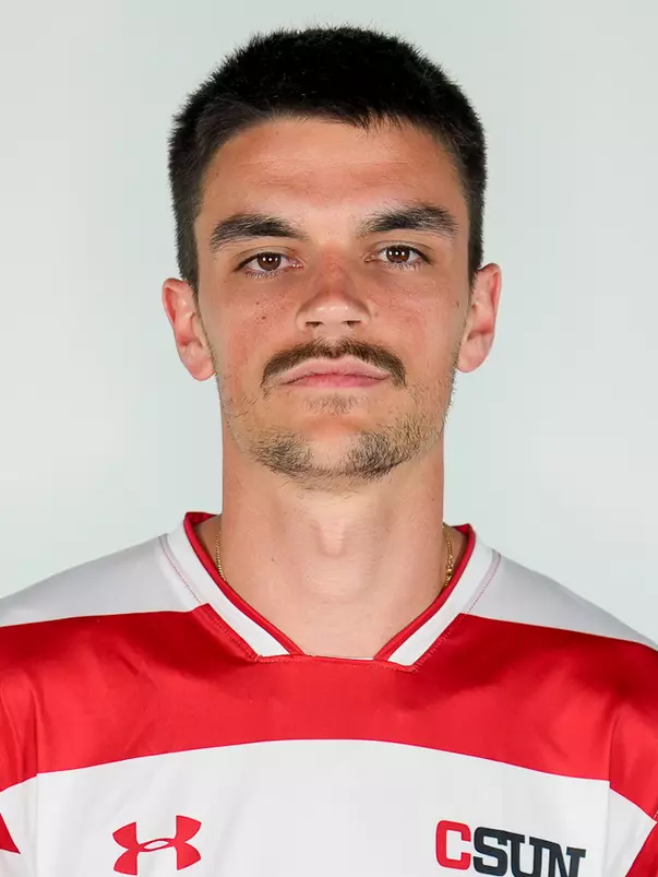 Martin Palinic