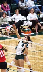 Volleyball Defeats Utah in Four Games