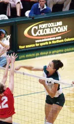 CSU Volleyball Earns Two Seed With Sweep of Air Force