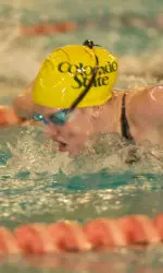 Swimming and Diving Wins Lobo Invitational