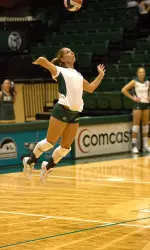 Volleyball Hosts Air Force