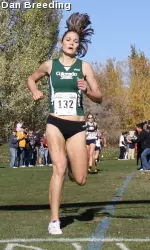 Cross country preview: Rams travel to Albuquerque for Mountain Regional