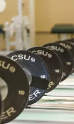 Track and field, cross country programs add to strength and conditioning staff