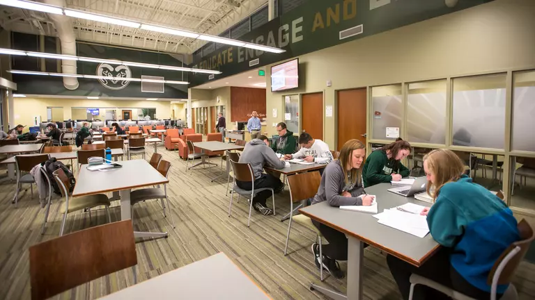 School-record 90 Rams named Mountain West Scholar-Athletes for 2016-17