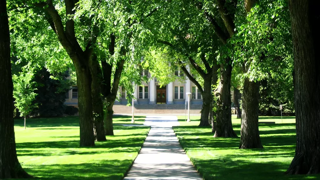 Image related to Graduation Central: Celebrating the Class of 2020