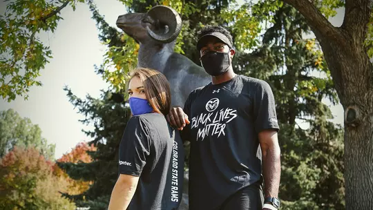 SAAC Members Energized as an Idea Becomes Reality