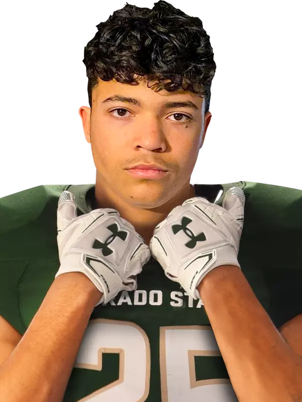 Sanjay Strickland NSD2020 HS
