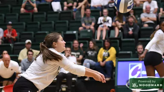 Career Paths: An Offer Too Good to Pass Up