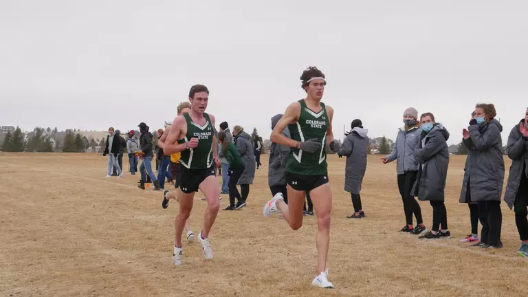 Chaston Named Mountain West Cross Country Athlete of the Week