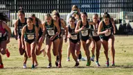 Women’s Cross Country Named USTFCCCA All-Academic Team