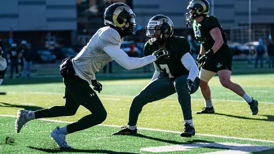 Summer Project: Cornering The Market On A Clear Mind