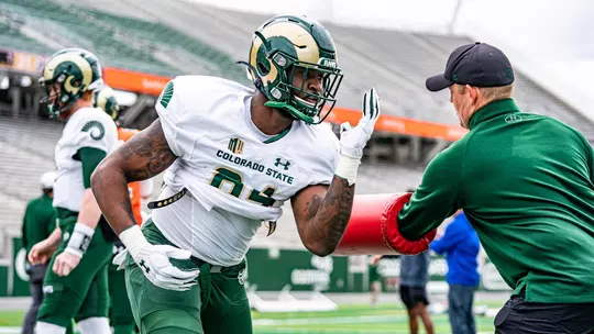 Summer Project: Making Different Feel Familiar