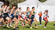 Cross Country Sets Sights on NCAA Regionals