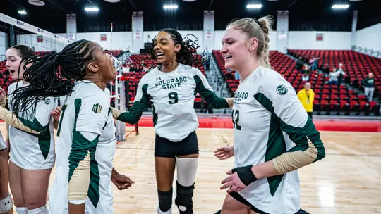 No Longer Babies, The Exit Fits the Dream