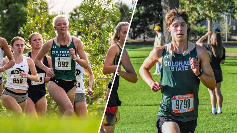 Berg and Westermann Named MW Freshmen of the Week