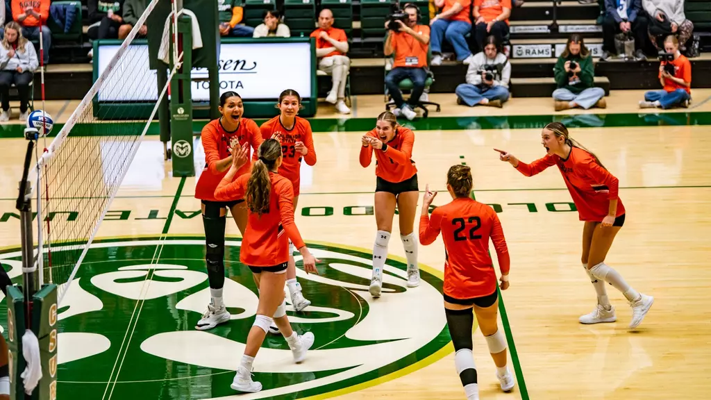 Image related to Six and Counting