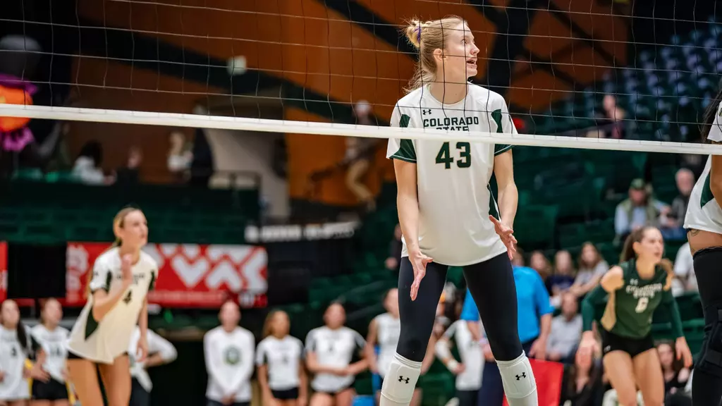 Image related to The Long Way Home