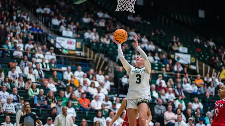 Loss as a Lesson from Hot-Handed Utah