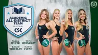Four Swimmers Earn Academic Honors