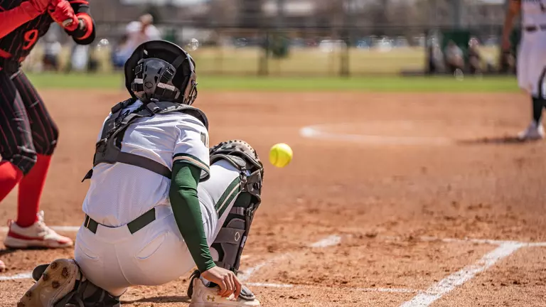 Bumps in the Road Teach Lessons