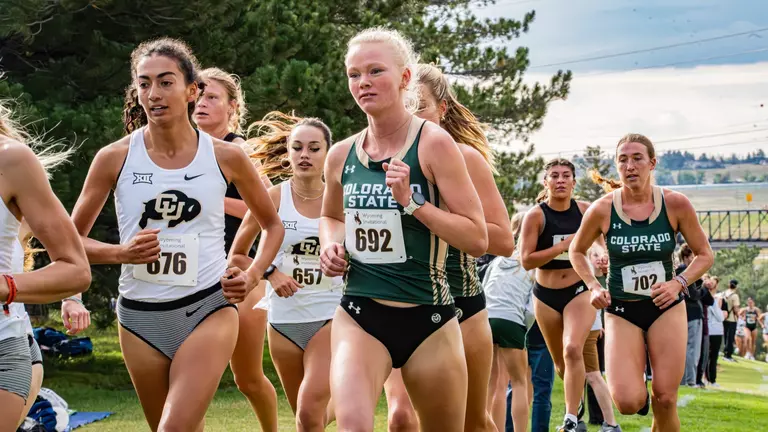 Berg Sweeps Women's Mountain West Awards