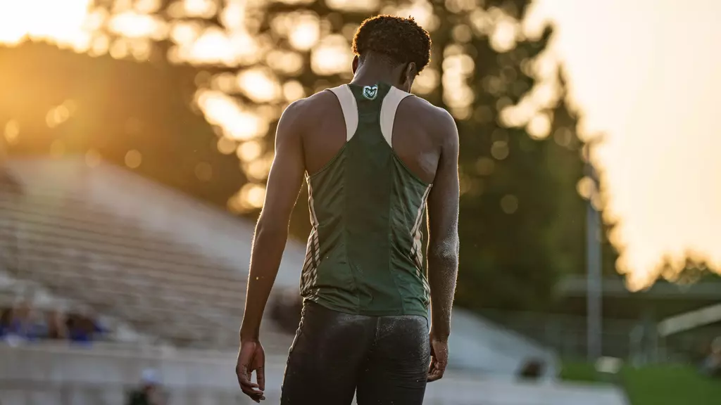 Image related to Built so They Don't Look Down