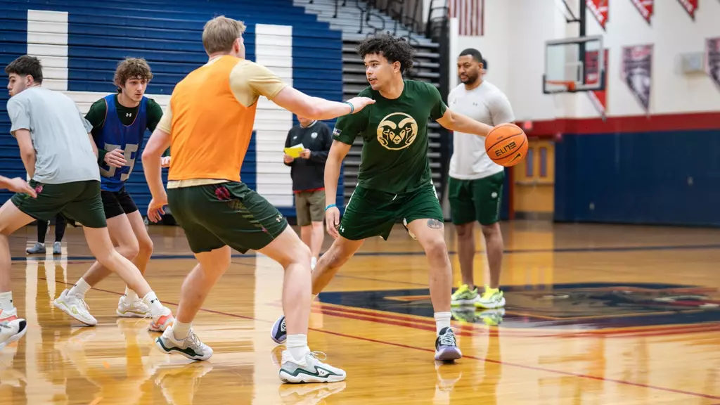 Image related to Shootaround: Simple Habits, High Stakes