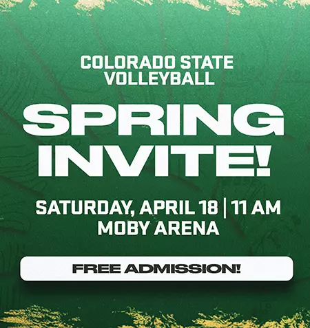 Volleyball Spring Match