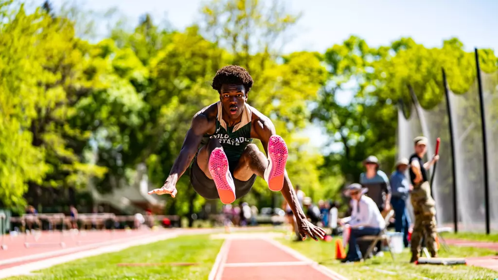 Image related to Records Fall in Final Home Meet