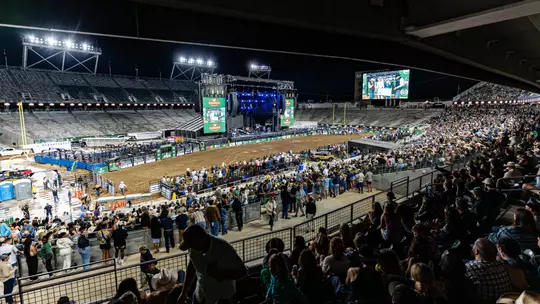 Bull Riders Return to Canvas With a Twist