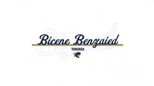 WTEN SIGNS BENZAIED