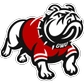 Gardner-Webb Updated - Summer 2026 *GWU Collar