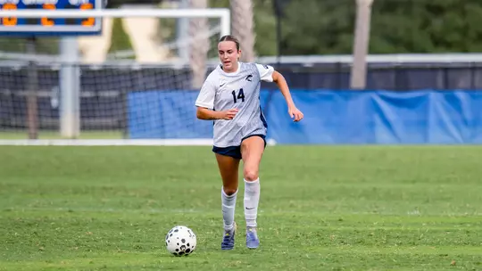 WSOC UPSTATE RECAP