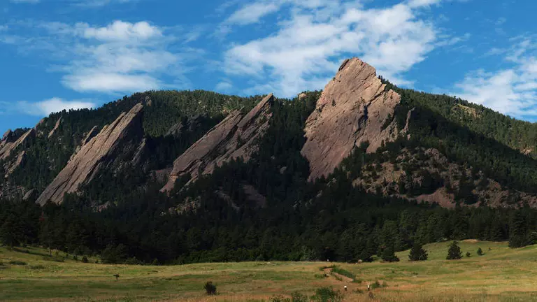 Athletics Explores Creation Of Sports Governance Center