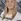 Hadrych, Lexi