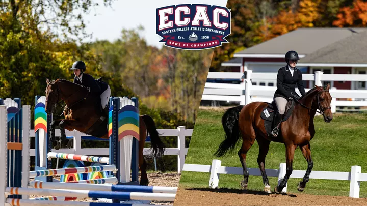 ecac rider of the week equestrian