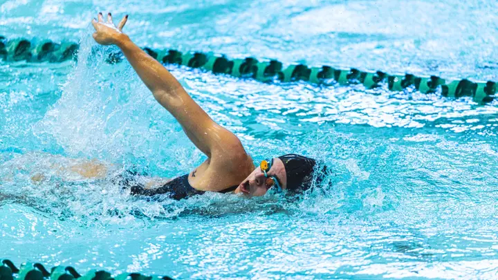 Swim and dive at home