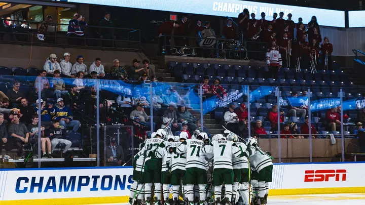 DMIH falls in NCAA Tournament