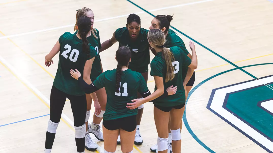 vb preview practice photo
