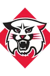 Wildcat Icon
