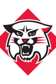Wildcat Icon