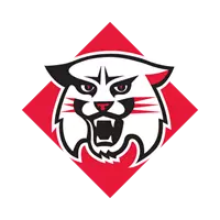 Wildcat Icon