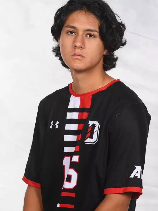 Olivier Merlin_Zhang