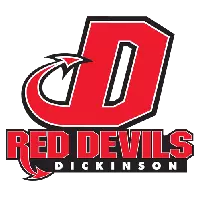 DIC