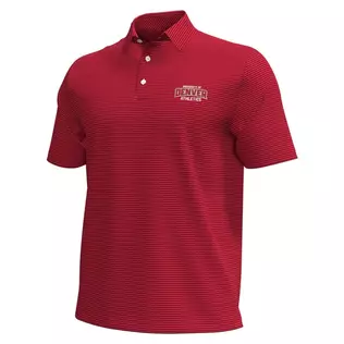Mens UNDER ARMOUR RED University of Denver Aura Stripe Polo