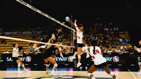 WVB