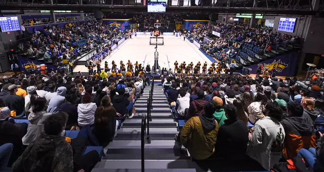 UD Crowd 5